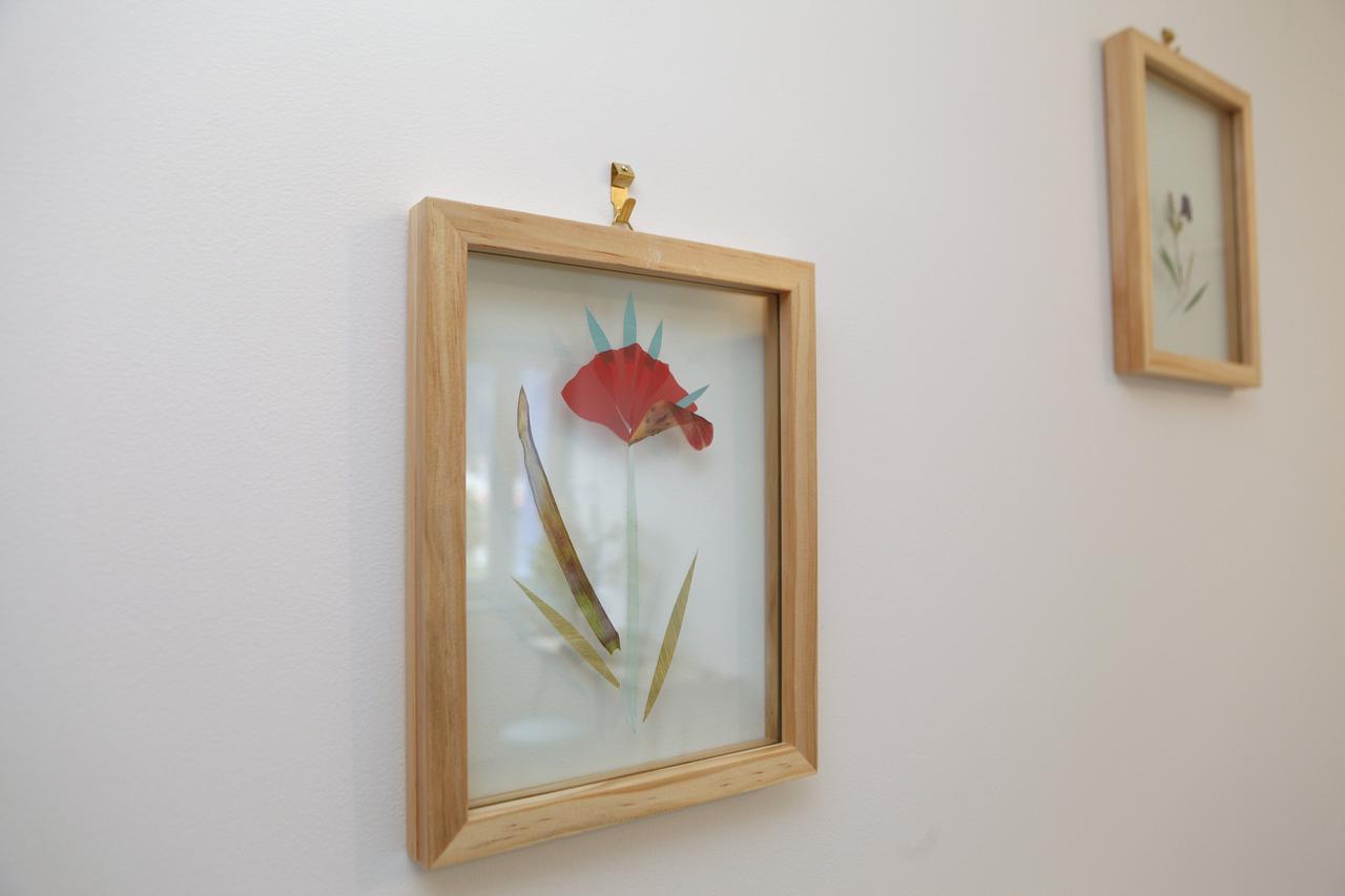 לינה וארוחת בוקר די Le Saule Reveur מראה חיצוני תמונה